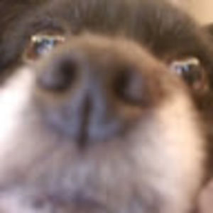 Meet your Posher, Nathaniel